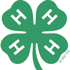 4-H Clubs of Lowndes County